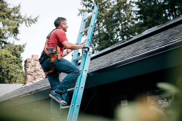 Best Roof Insulation Installation  in Kilauea, HI